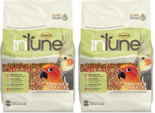 Nutritious balanced food for - nutritious,
