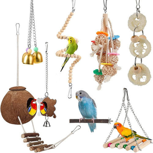For parakeet conure - for, parakeet,