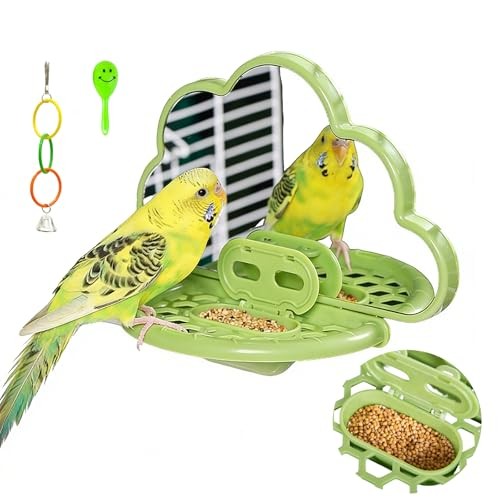 Bird mirror with - bird,