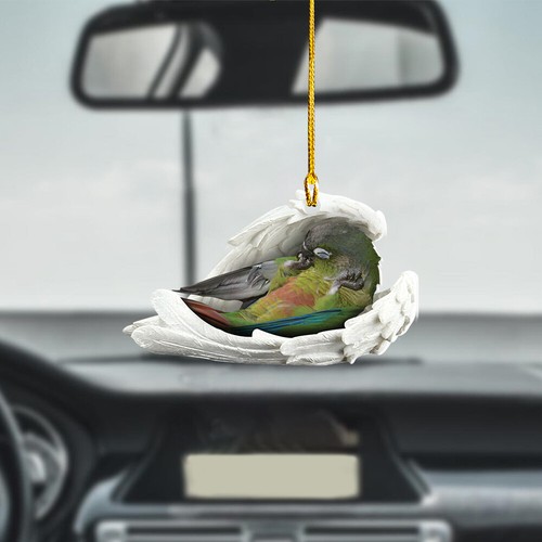 Green cheeked conure - conure, sleeping