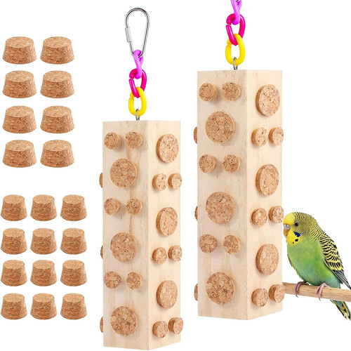 Bird foraging toy parakeet - bird,