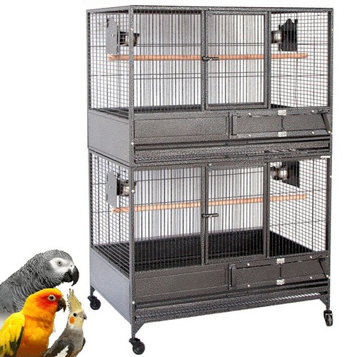 Stack xlarge bird parrot - 2-stack,